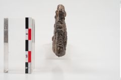 Foto von Eisenhiebmesser (NHMW-PRAE-025162)